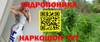 прущий лед Гусев